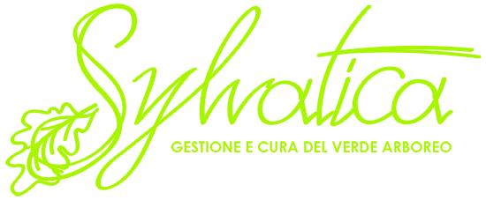 SYLVATICA ARBORICOLTURA - GESTIONE E CURA DEL VERDE ARBOREO