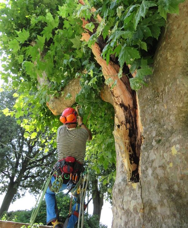 messa in sicurezza